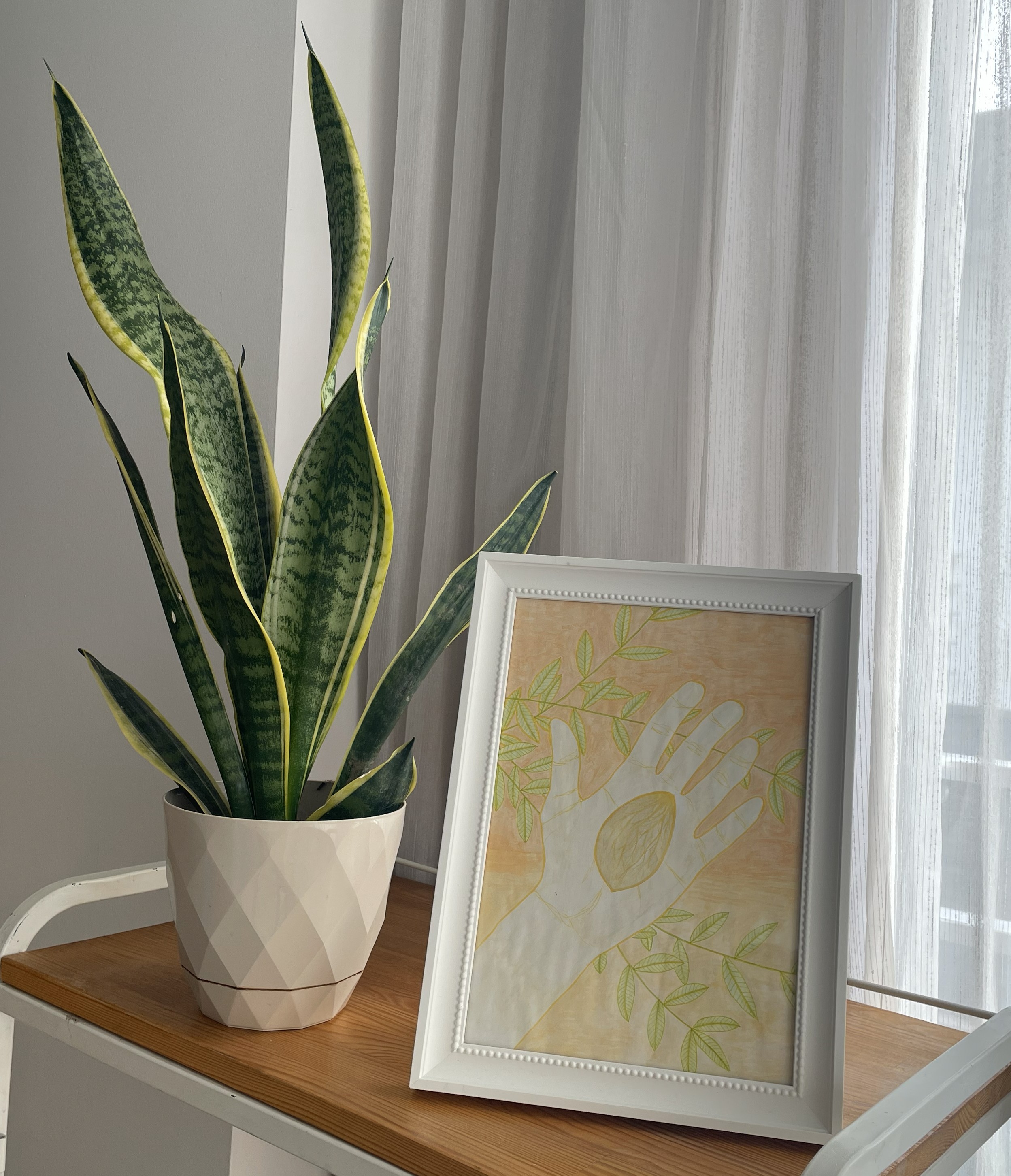 Olive pit decoration